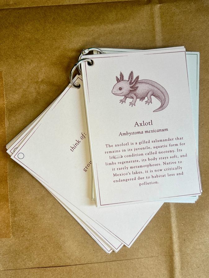 Card showing Axolotl with description and prompt