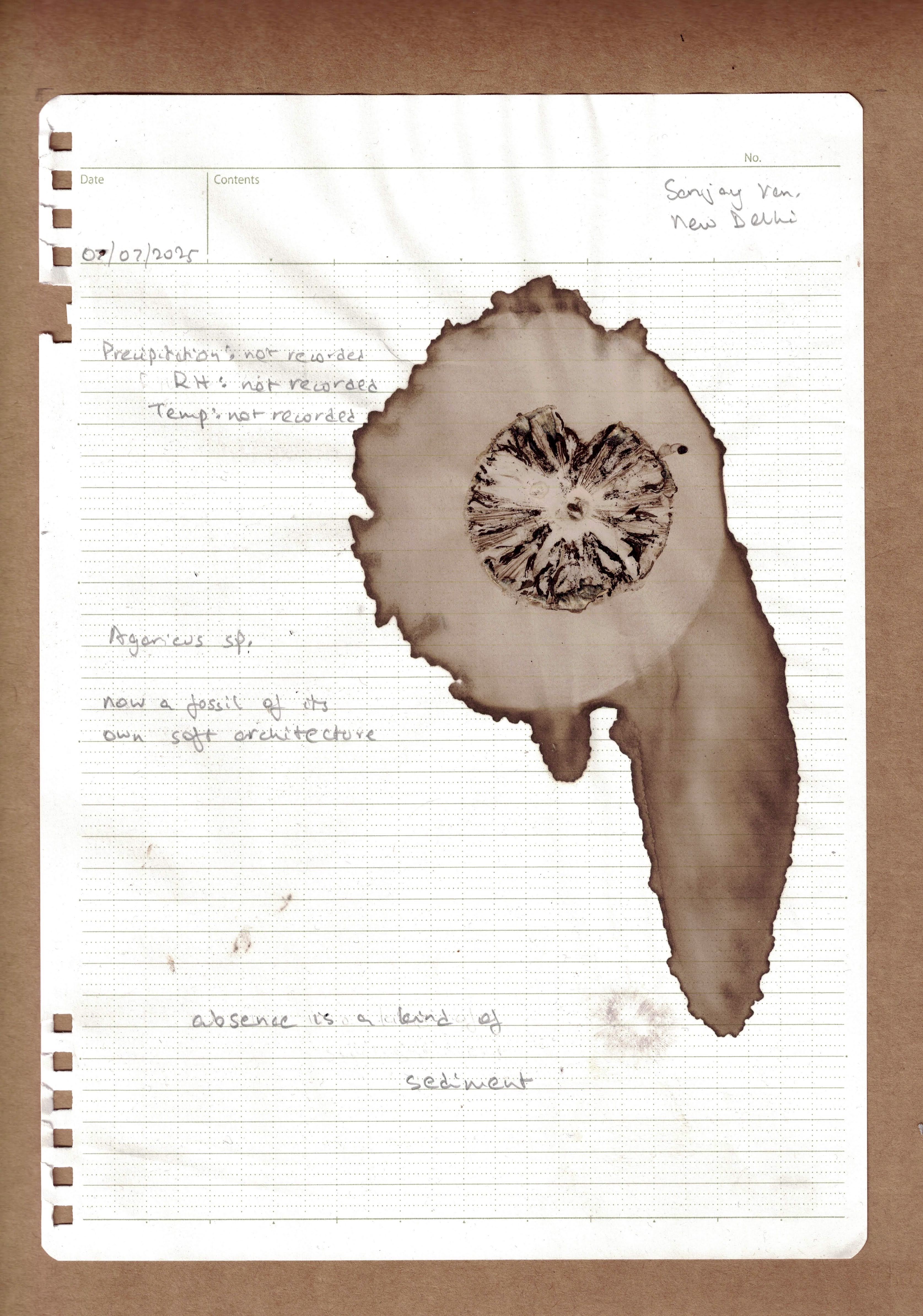 Notebook page with spore prints and handwritten text