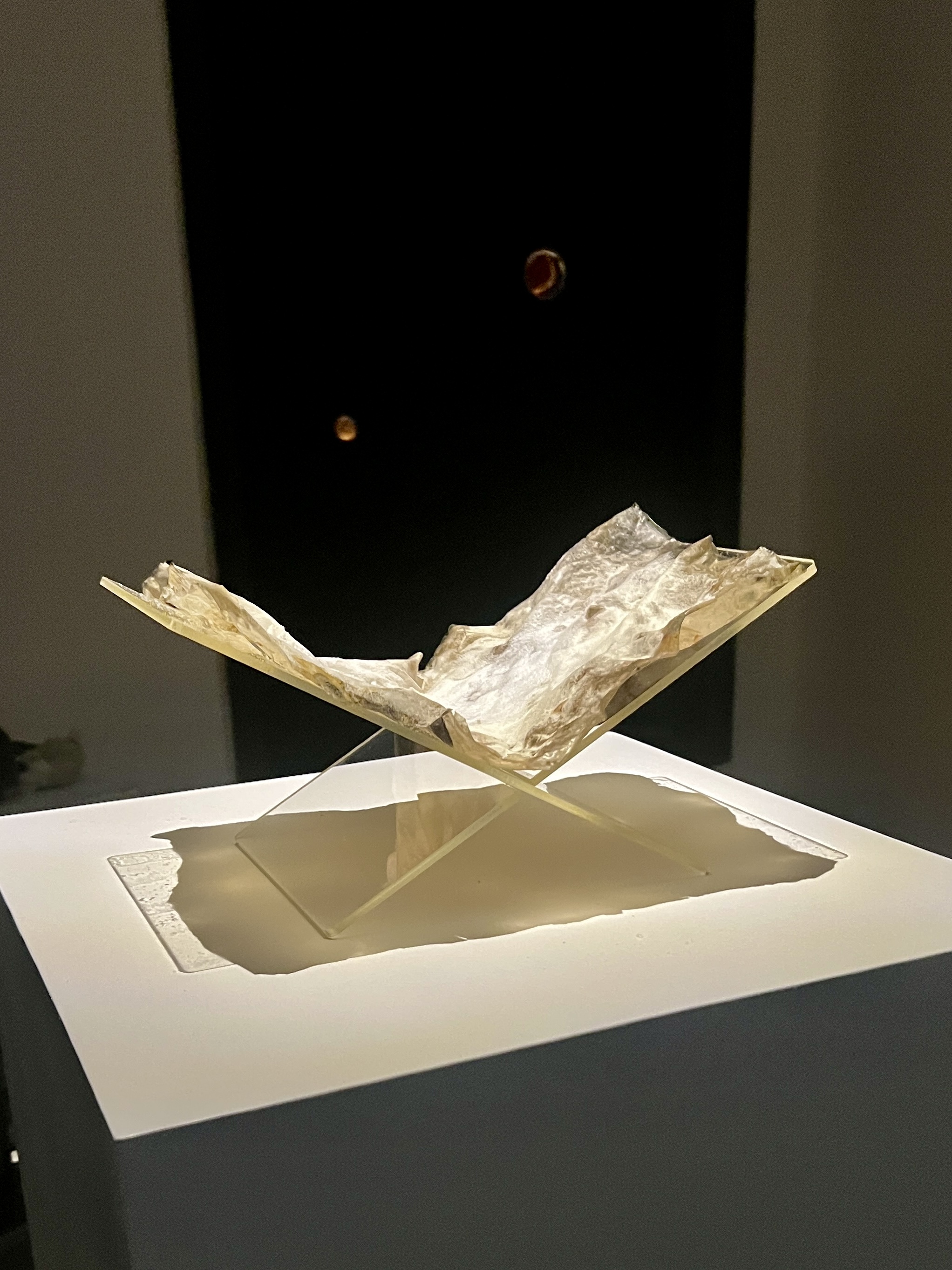 Mycelium page displayed on stand with illumination